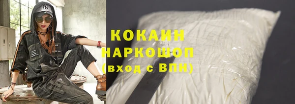 прущие грибы Балахна