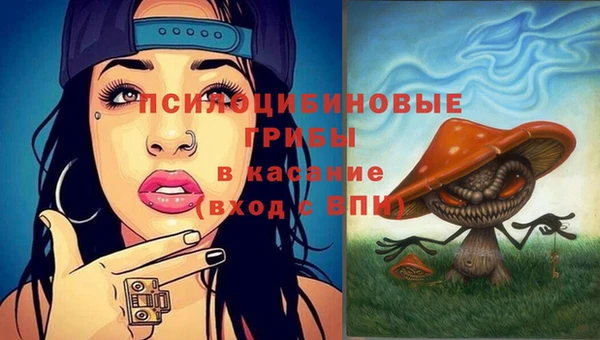 ешки Беломорск